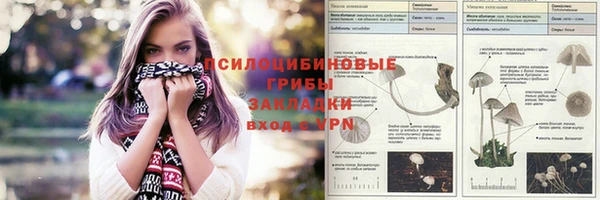 2c-b Алексин